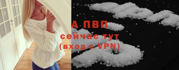 ПСИЛОЦИБИНОВЫЕ ГРИБЫ Елизово
