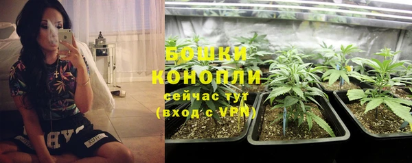ПСИЛОЦИБИНОВЫЕ ГРИБЫ Елизово