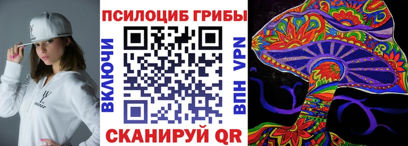 Купить закладки  Хилок  Галлюциногенные грибы Psilocybe 